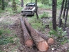 Log Skidding
