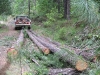 Pickup Truck Logging