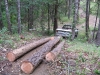 Skidding Logs With a Pickup