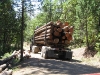 Loaded Log Truck